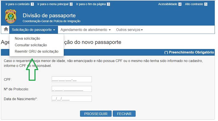 Passaporte brasileiro - reemitir GRU